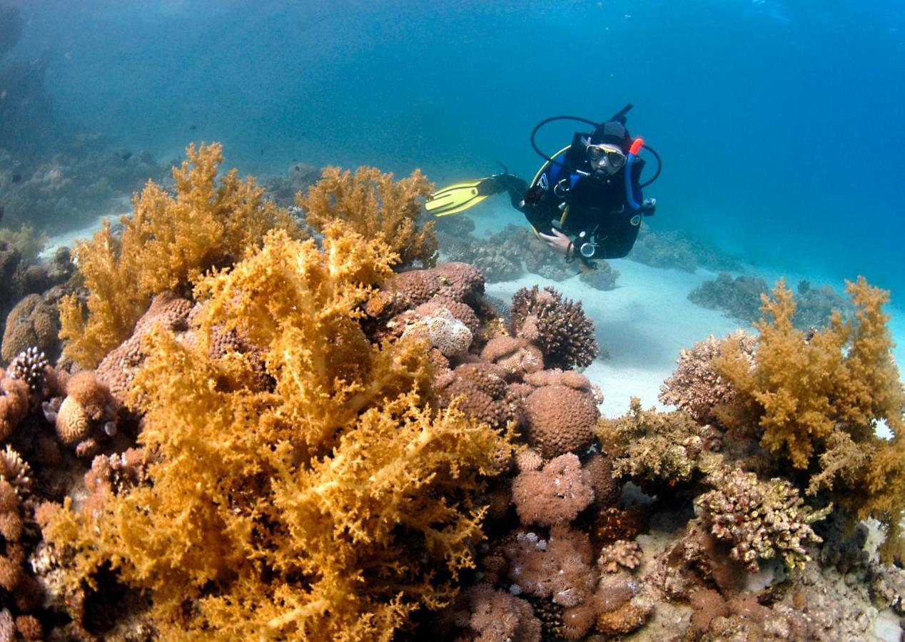 Dive Urge Hotell Dahab Eksteriør bilde