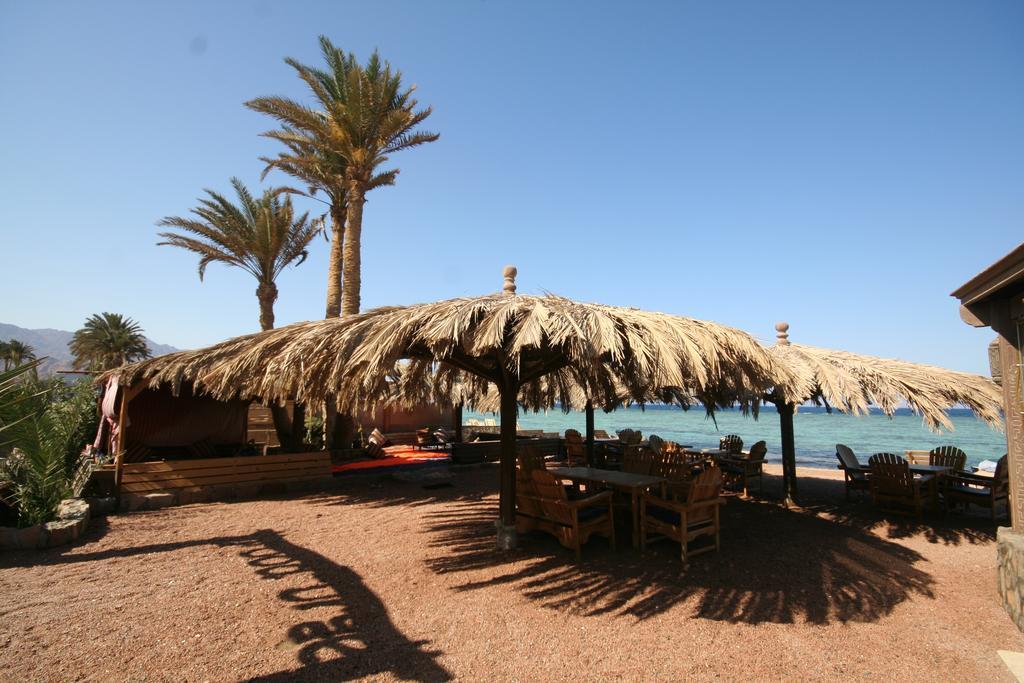 Dive Urge Hotell Dahab Eksteriør bilde