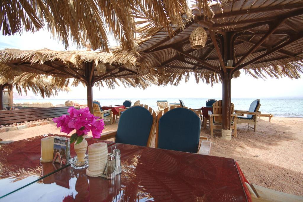 Dive Urge Hotell Dahab Eksteriør bilde